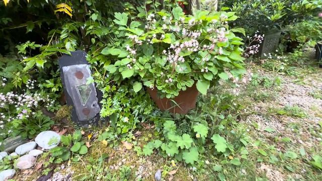 An Unbelievable Container Garden! смотреть онлайн