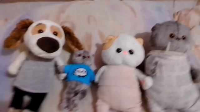 История басика лили и тд что любит басик, лили и тд смотреть онлайн