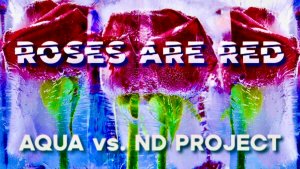 AQUA vs. ND PROJECT - Roses Are Red