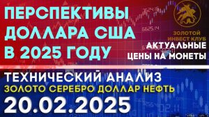 Перспективы доллара США в 2025 году. Анализ рынка золота, серебра, нефти, доллара 20.02.2025 г