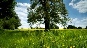 Разные уголки мира