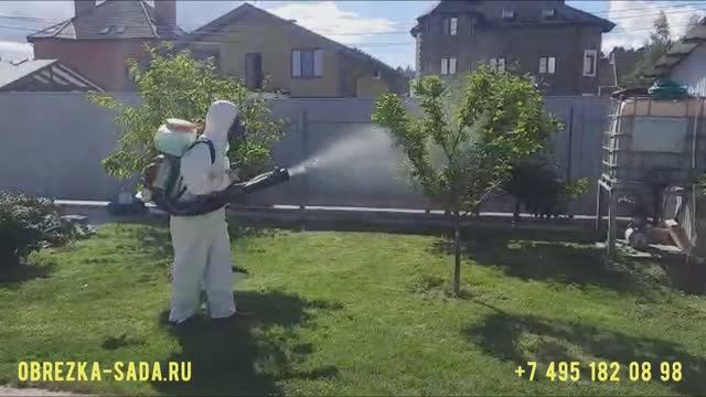 Услуги обрезки деревьев, кустарников и обработки от вредителей и болезней