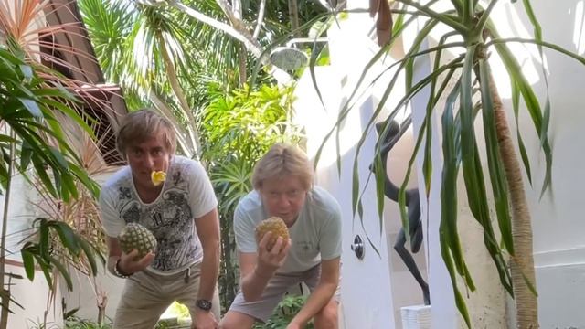 Премудрости Бали