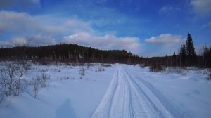 Фотоловушки балаган брошеный экскаватор
