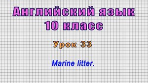 Английский язык 10 класс (Урок№33 - Marine litter.)