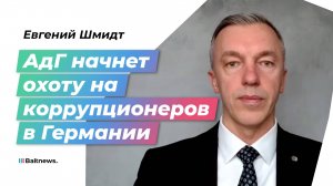 Евгений Шмидт: вся вертикаль власти в Германии подвержена коррупции