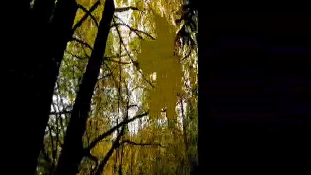 PL Pokrova 2013 смотреть онлайн