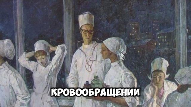 Система кровообращения