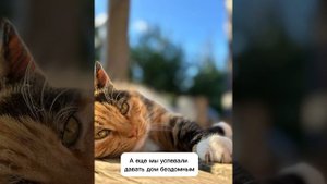 Фермерское хозяйство "Ягоды Угры" - мы выращиваем ягоду с любовью.