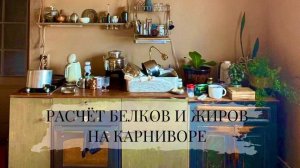 РАСЧЕТ БЕЛКОВ И ЖИРОВ НА КАРНИВОРЕ. Увеличенная норма для устранения дефицита белка.