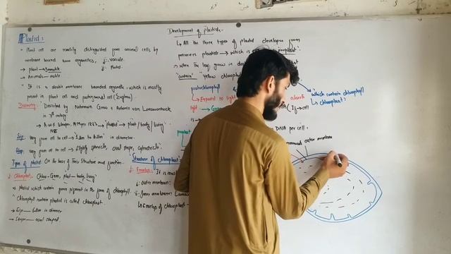 Plastid (structure, types of Plastid, Function of plastid), Cell biology, Fsc part 1, MDCAT. смотреть онлайн