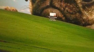 Айсберг айсберга русскоязычного комьюнити пвз.