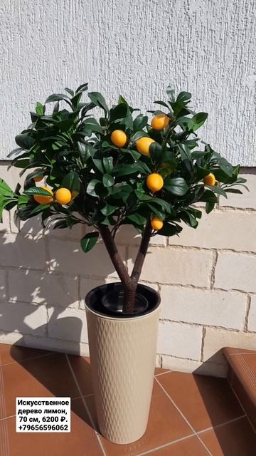 Искусственное дерево лимон смотреть онлайн