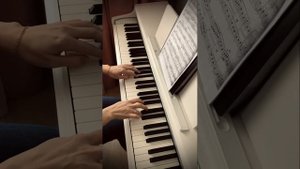 БАХ. МЕНУЭТ соль минор