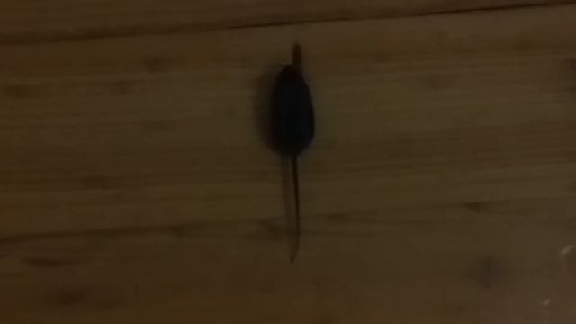 влад пародия смотреть онлайн