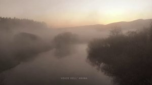 Красивая Фоновая Музыка Голос Души - Музыка на Флейте для Релаксации и Сна