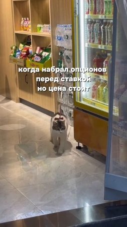 Регистрируйтесь на Бесплатный курс для трейдеров с нуля 💸по ссылке в описании канала