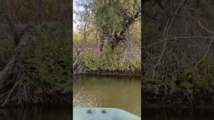 Проверяю лодку.