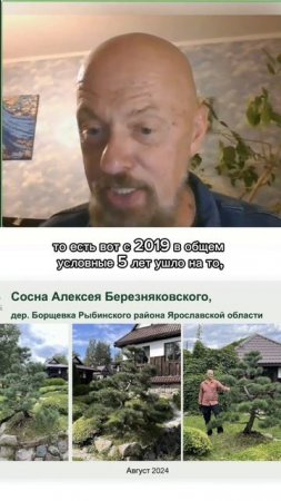 История создания ниваки. Часть 2