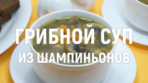 Грибной суп из шампиньонов - Рецепт приготовления очень вкусного грибного супа из шампиньонов