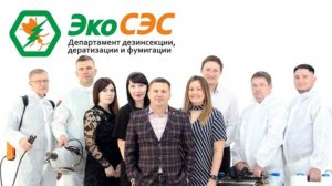 Служба дезинфекции ЭКО СЭС - Почему нам можно доверять