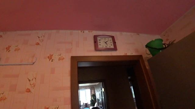 Просто Кошачий день смотреть онлайн