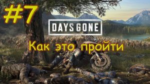 Прохождение Days Gone №7