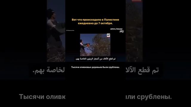 Вот что происходило в Палестине ежедневно до 7 октября смотреть онлайн