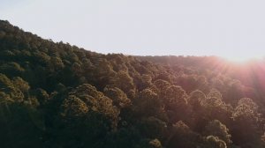 Разные уголки мира