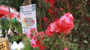 Moon Valley Nursery at the Maricopa County Home Shows