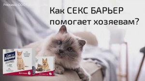 Капли и таблетки СЕКС БАРЬЕР для кошек. Инструкция по применению