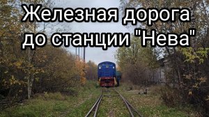 Железная дорога до станции "Нева". 2024г.