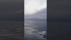 LOWRANCE HDS 9 CARBON
