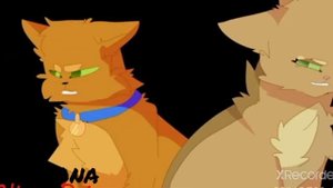 Коты воители Огнезвёзд и Песчаная буря клип " Вдвоем "