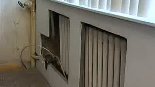 Счетчик в каждый дом. смотреть онлайн