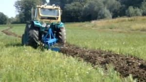 Агро Завалля ЮМЗ 6 Л приорювання сидератів Люпин