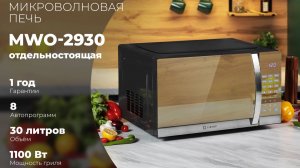 Микроволновая печь Libhof MWO-2930