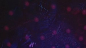 Новогодний кавардак. Стихи и видеомонтаж мои. Музыка - чардаш.