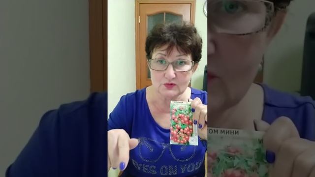 горшечные томаты- супердеты