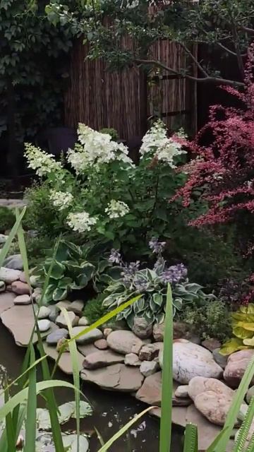 Лайм лайт смотреть онлайн