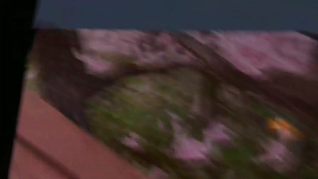 Cherry Blossoms 🌸 | Gorilla Tag смотреть онлайн