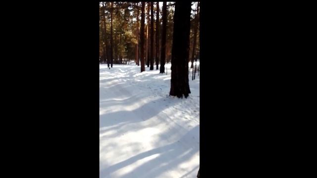 костер на снегу смотреть онлайн