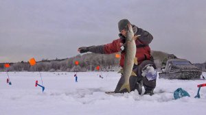 КТО БЫ МОГ ПОВЕРИТЬ! ОКУЕННАЯ РЫБАЛКА С НОЧЁВКОЙ и ДИКИЙ ЖОР!  АЭРОЛОДКА, ПАЛАТКА, ЖЕРЛИЦЫ!