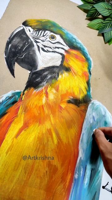 For Bird Lovers 🐦❤️🔥#shorts #art #birddrawing смотреть онлайн