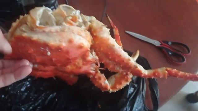 сахалинский краб. смотреть онлайн