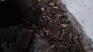 Ночую Один в Лесу Зимой - Укрытие из
Пончо Тента и Нодья из Трёх Брёвен