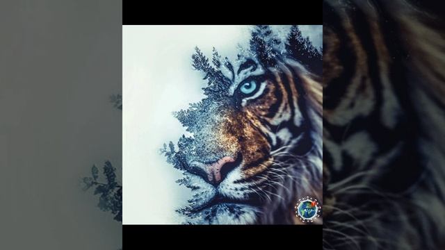 Креатив2 смотреть онлайн