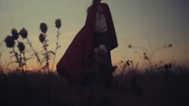 AuDIOvideotesto SARO' L'AMORE смотреть онлайн