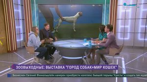 Зоовыходные: выставка «Город собак + Мир кошек»