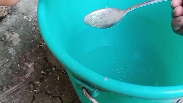 Mabisang pamuksa ng Whiteflies at Aphids/Homemade Insecticidal Soap смотреть онлайн